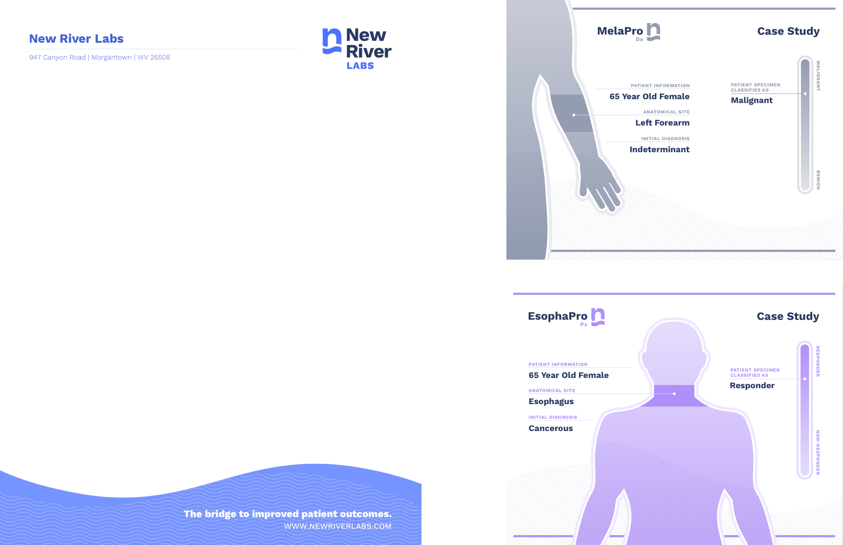 New River Labs letterhead and case study designs