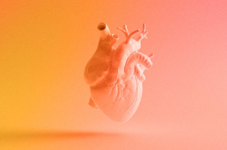 Realistic sculpture of a human heart. 