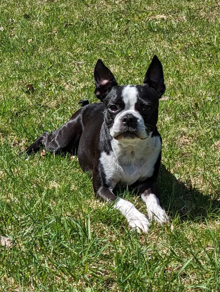 tony-s-lifestyle-01-1x