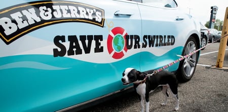 Puppy next to the ben & jerry's car. 