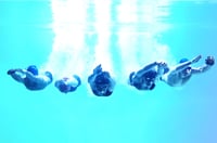 five divers under water swimming towards camera with an aqua gradient background