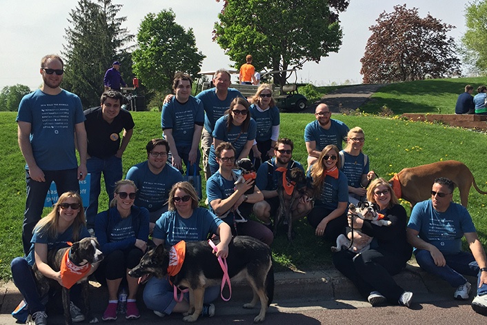 Media Junction Team with all of their pets